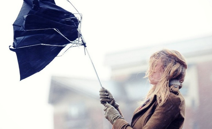 208-wind.jpg