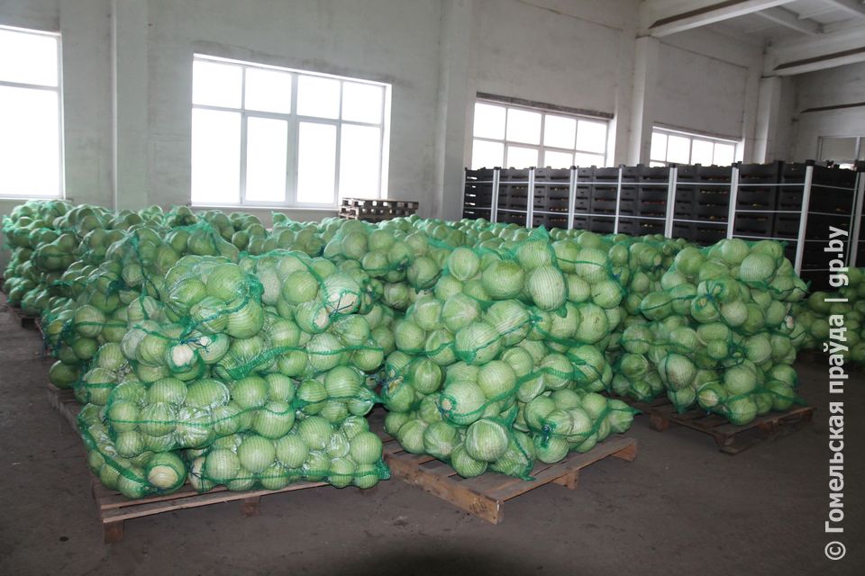 Федерация профсоюзов Беларуси проводит мониторинг использования продукции стабфондов.jpg Федерация профсоюзов Беларуси проводит мониторинг использования продукции стабфондов.jpg