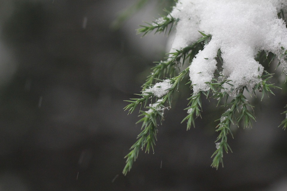 snow-6774691_960_720.jpg