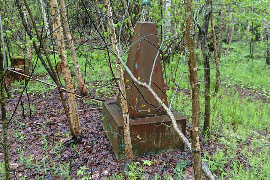 DSC_0005.JPG