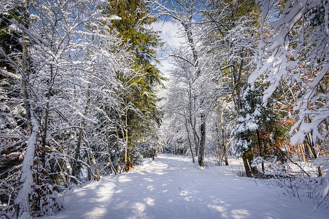 winter-3975980_640.jpg