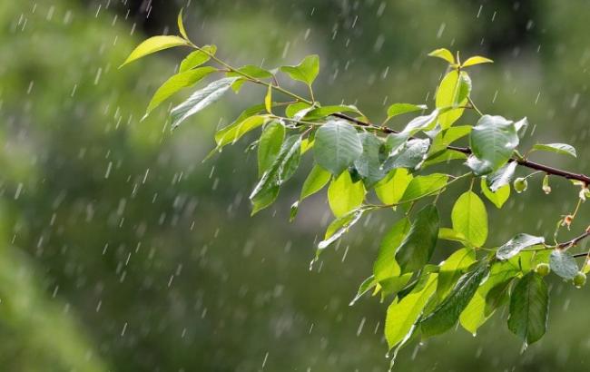 rain_3411982_960_720_650x410.jpg