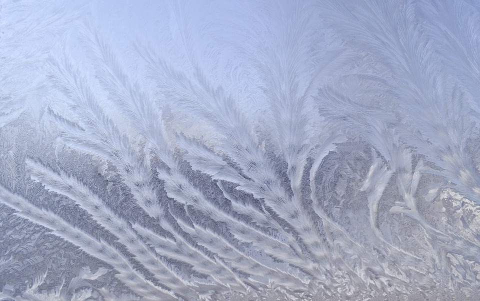 frost-84475_960_720.jpg