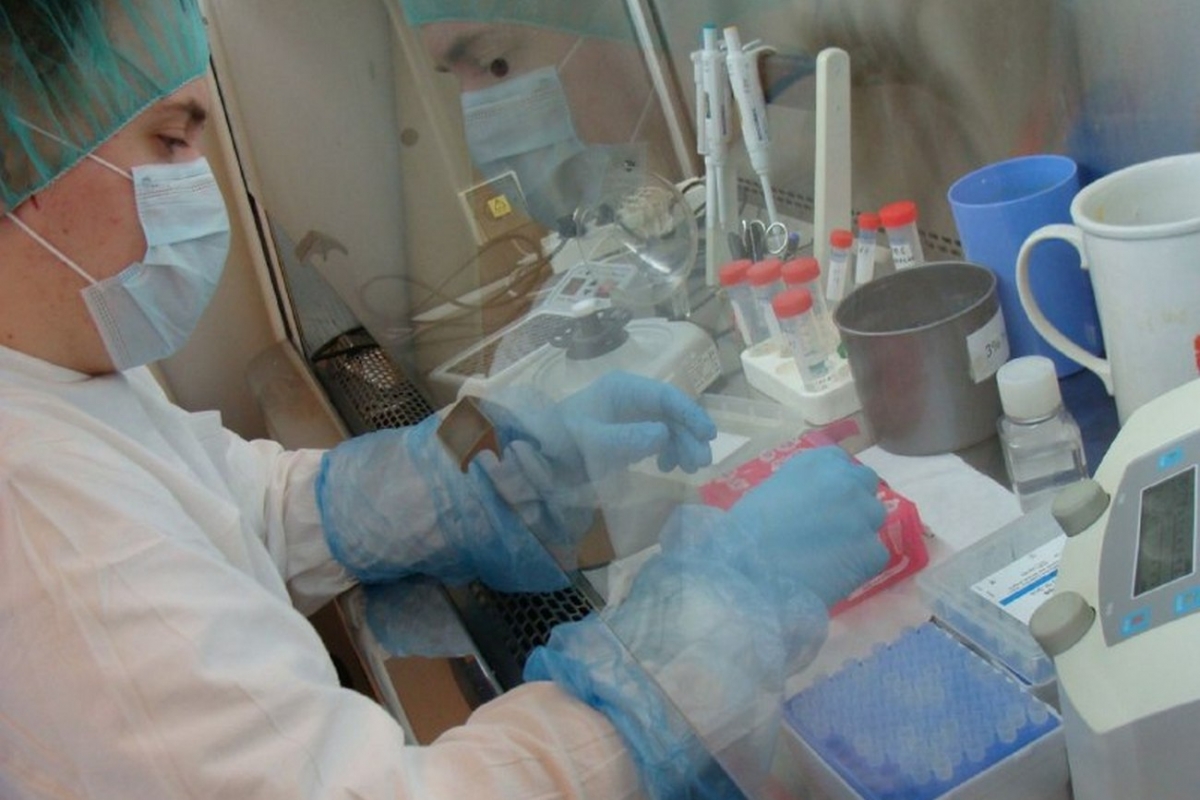virus_test_belarus_minzdrav.jpg