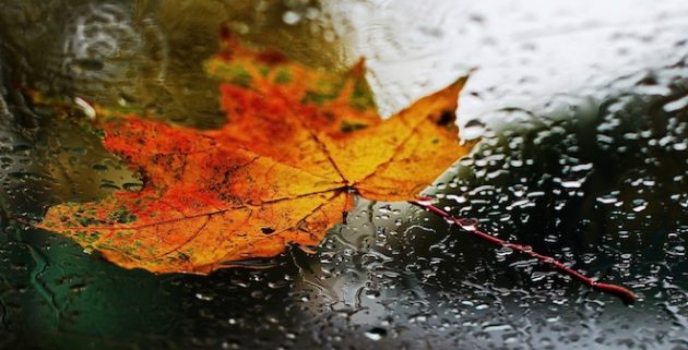6163a59d-630x321.jpg