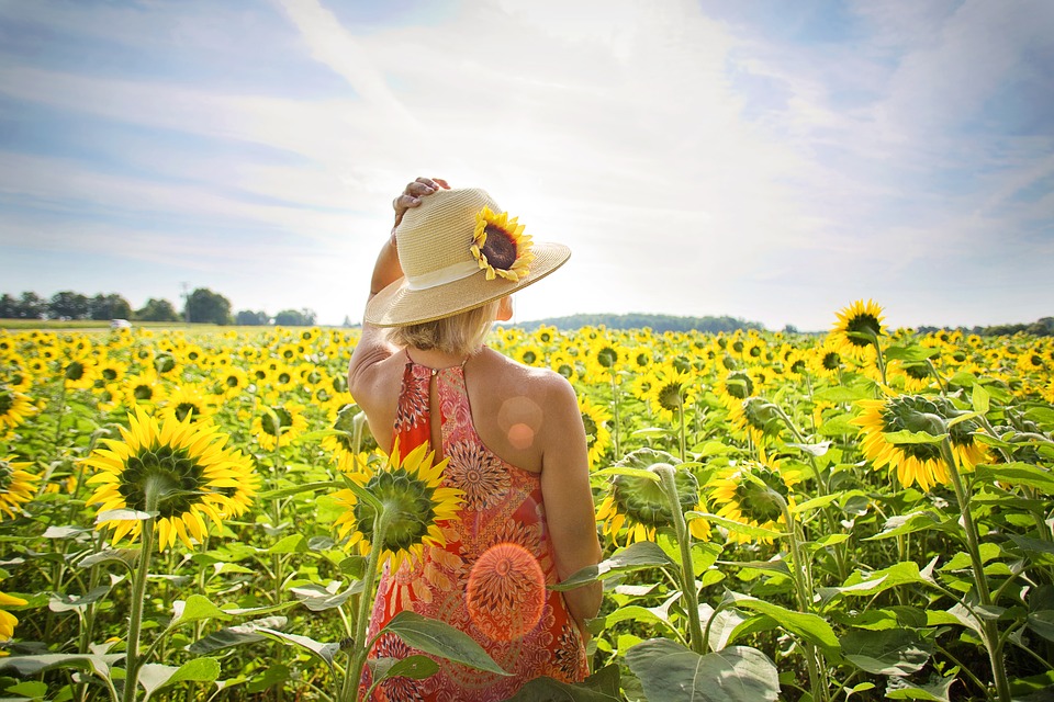 sunflowers-3640935_960_720.jpg