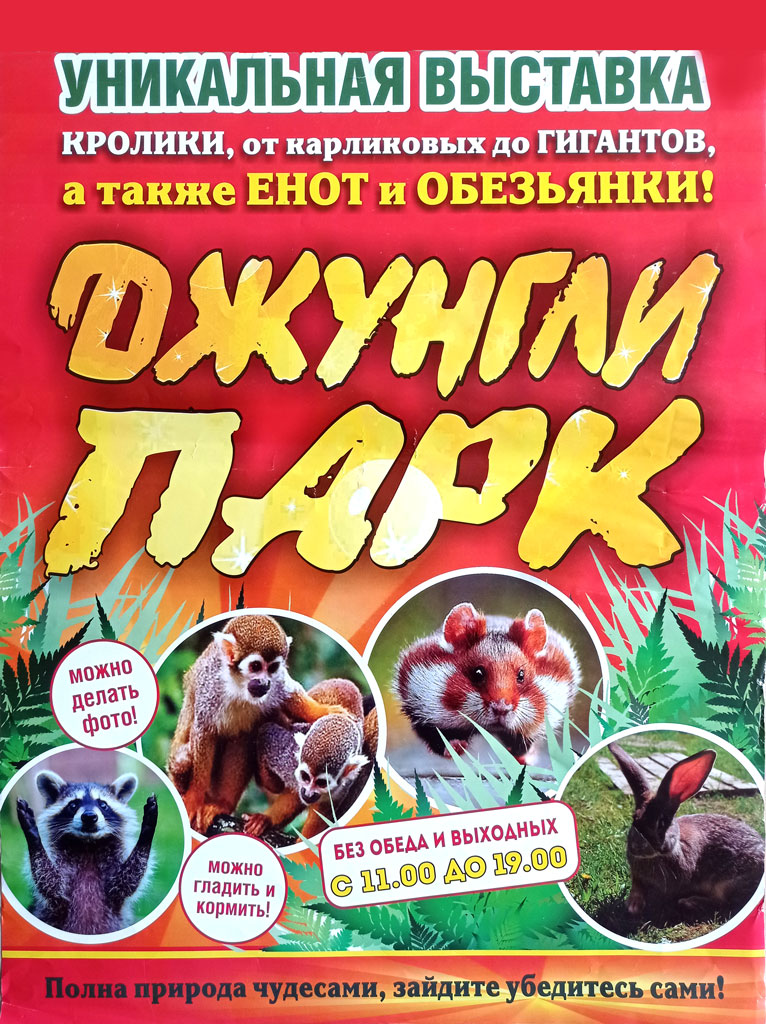 Кролики_веб.jpg Кролики_веб.jpg