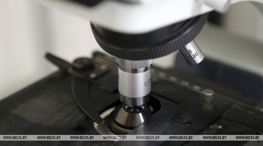 000026_1628484361_454440_big.jpg