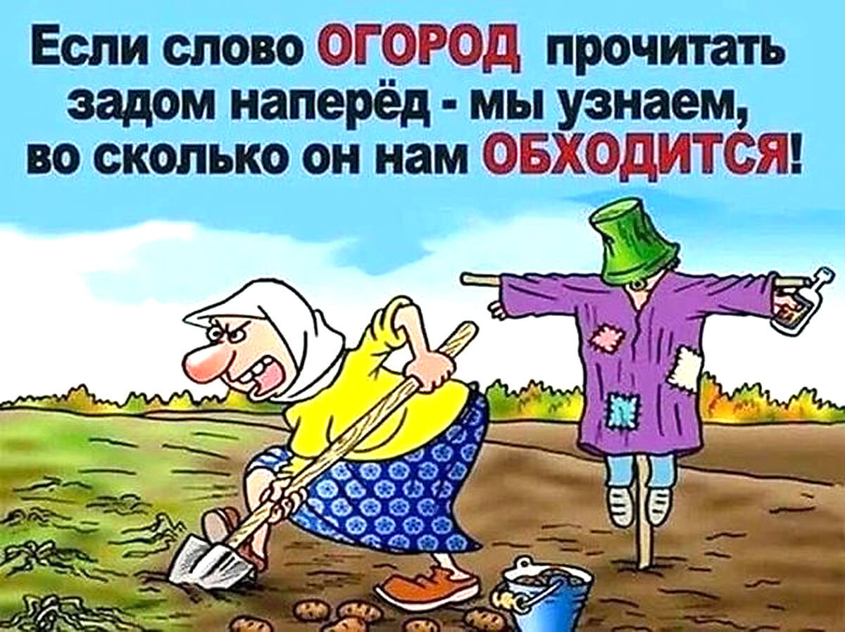огородд.jpg огородд.jpg