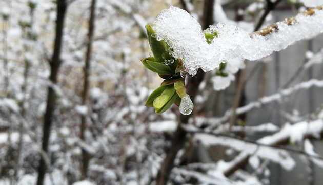 630_360_1553670990-515.jpg