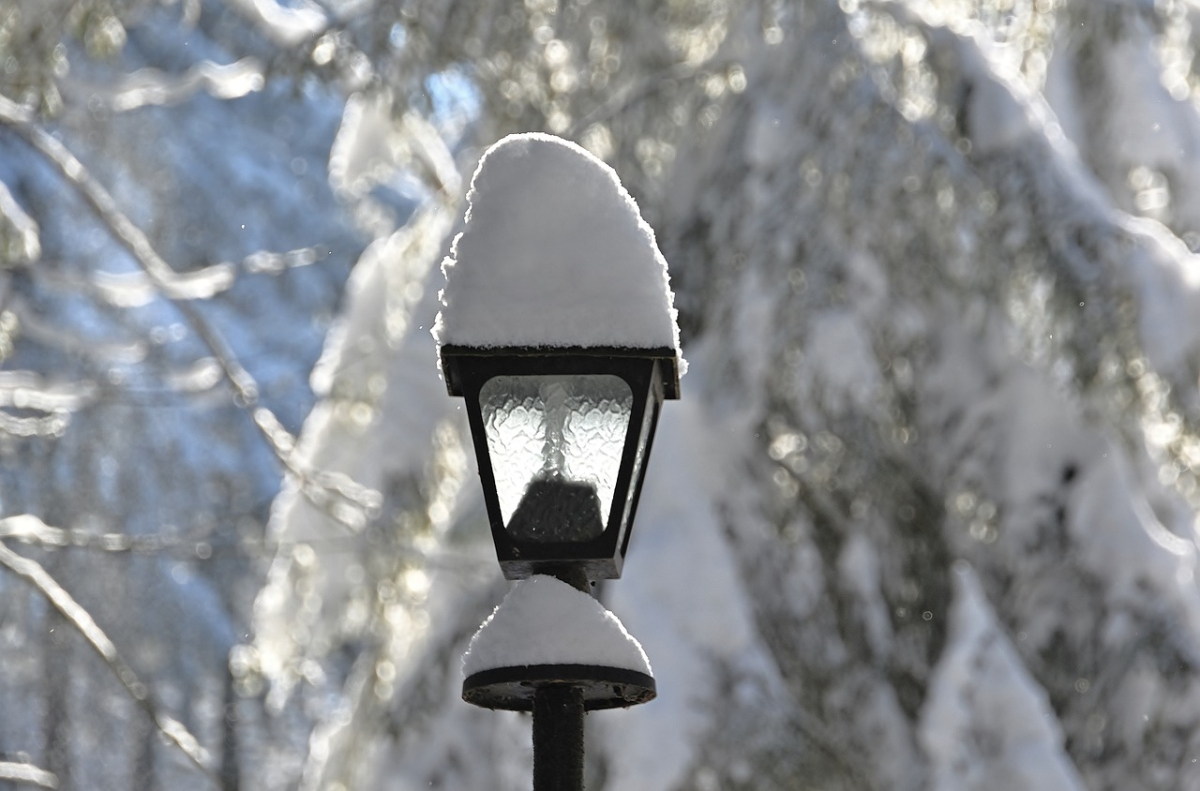 winter-6065580_1280.jpg