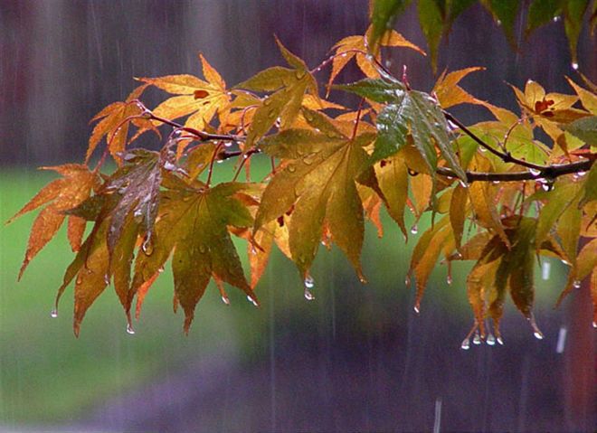 54898f3dcb8608e03deda865af5bb350.jpg