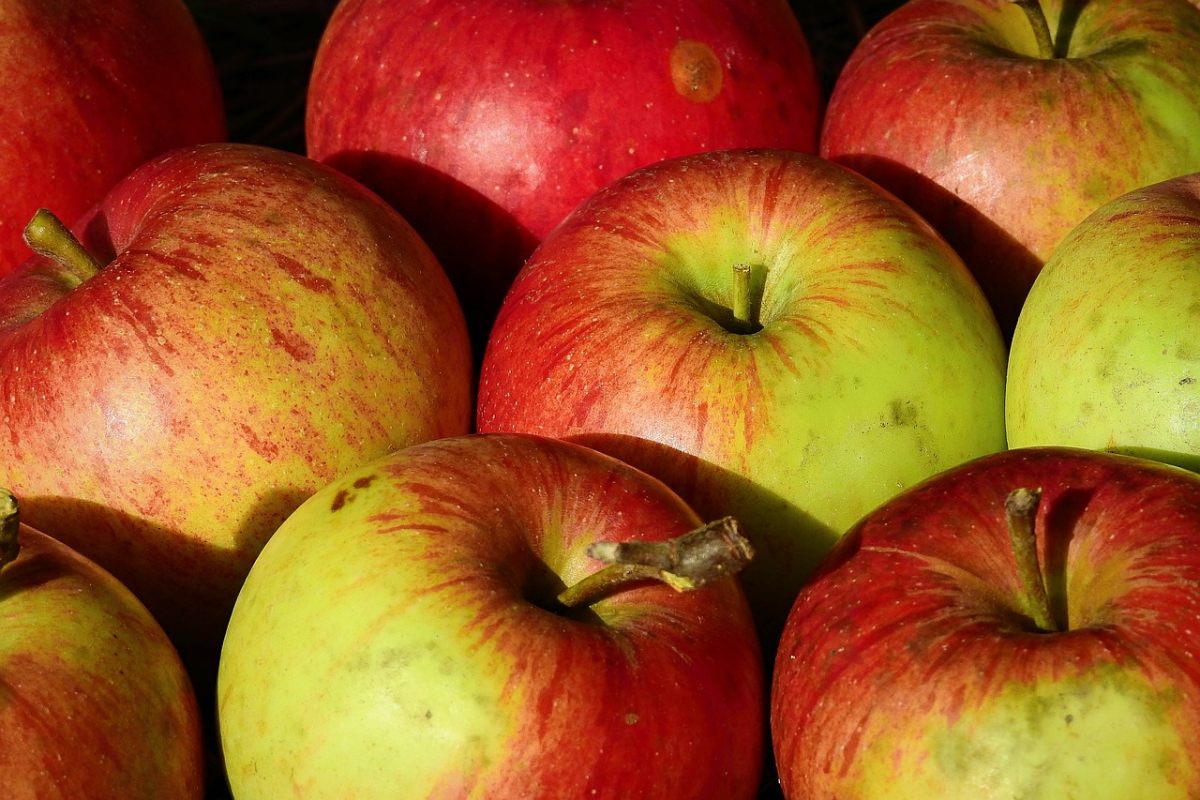 apples-3733169_1280.jpg apples-3733169_1280.jpg