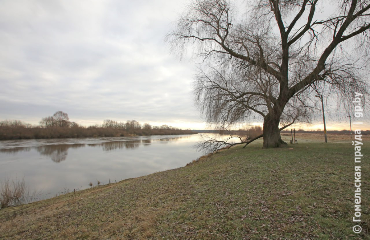 Korotkevich-5.jpg
