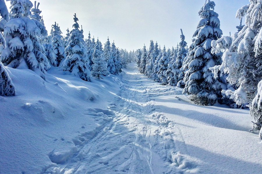 winter-1384661_1280.jpg