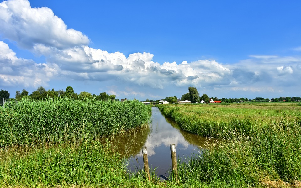 dutch-landscape-3452005_960_720.jpg