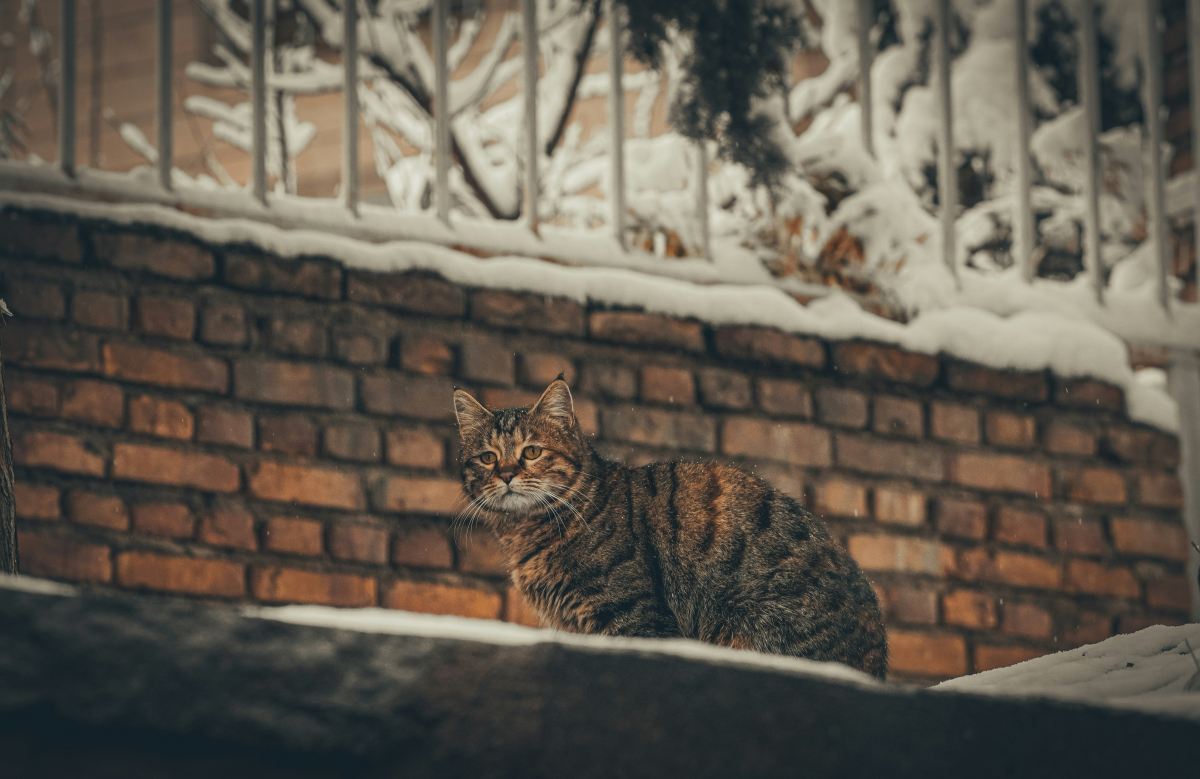 erfan-amiri-LNCypKocEqM-unsplash.jpg erfan-amiri-LNCypKocEqM-unsplash.jpg