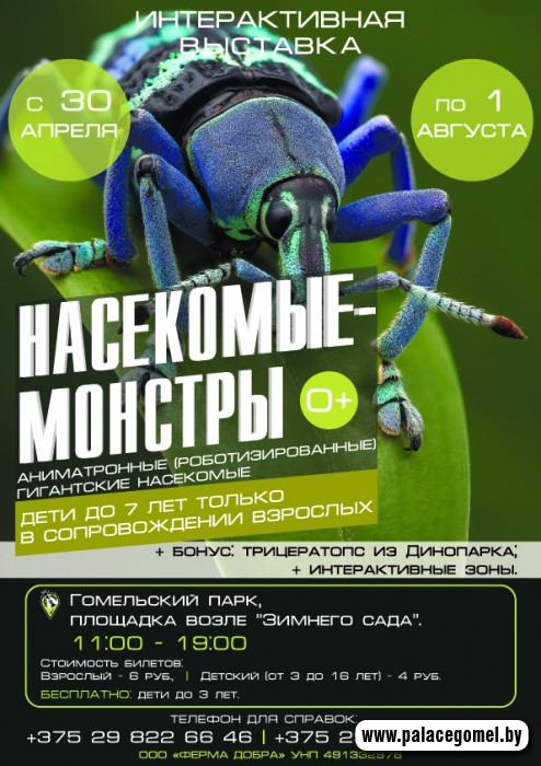 1619504535_nasekomye-vystavka.jpg