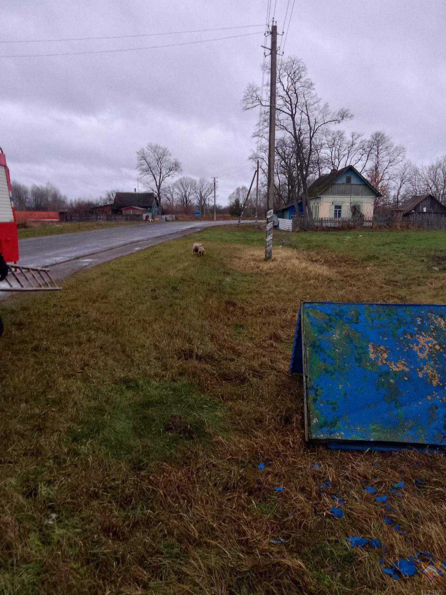 Foto-1.jpg