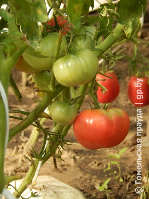 DSCN5673.JPG