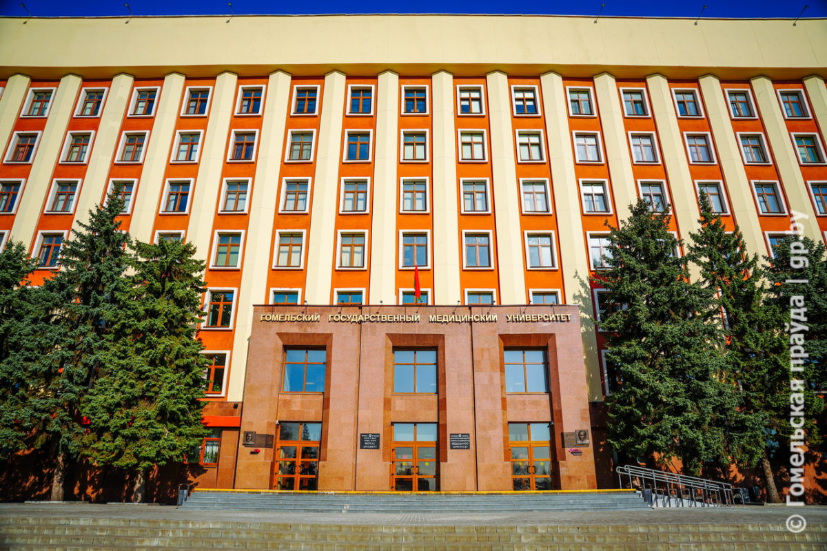 461 врач нашёл работу: итоги распределения в Гомельском медуниверситете 461 врач нашёл работу: итоги распределения в Гомельском медуниверситете