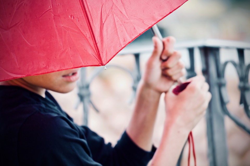 rain-4230467_960_720.jpg