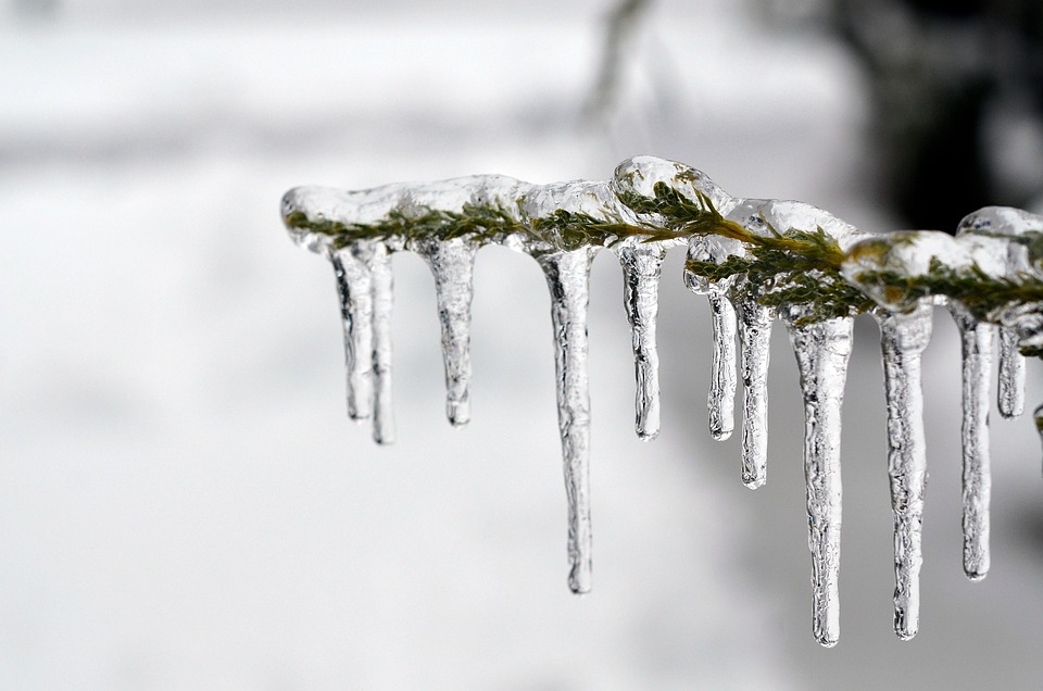 ice-1343342_960_720.jpg ice-1343342_960_720.jpg