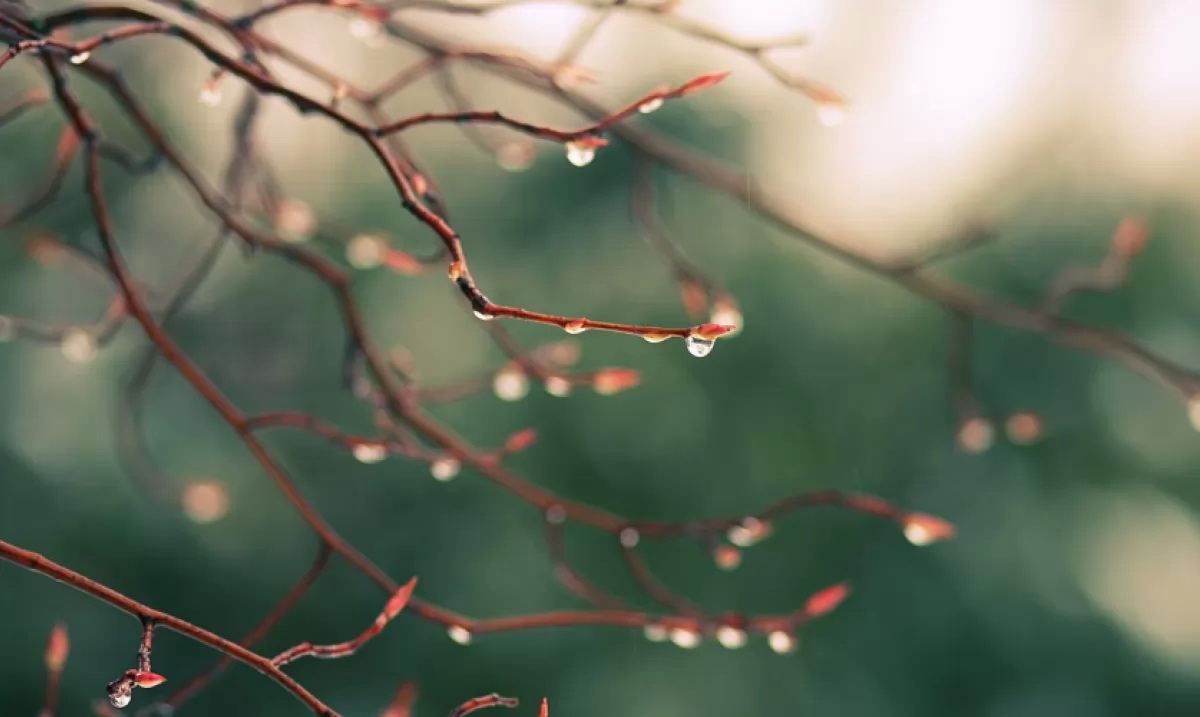 58a3fd07b4159-screenshot-1_1200.jpg 58a3fd07b4159-screenshot-1_1200.jpg