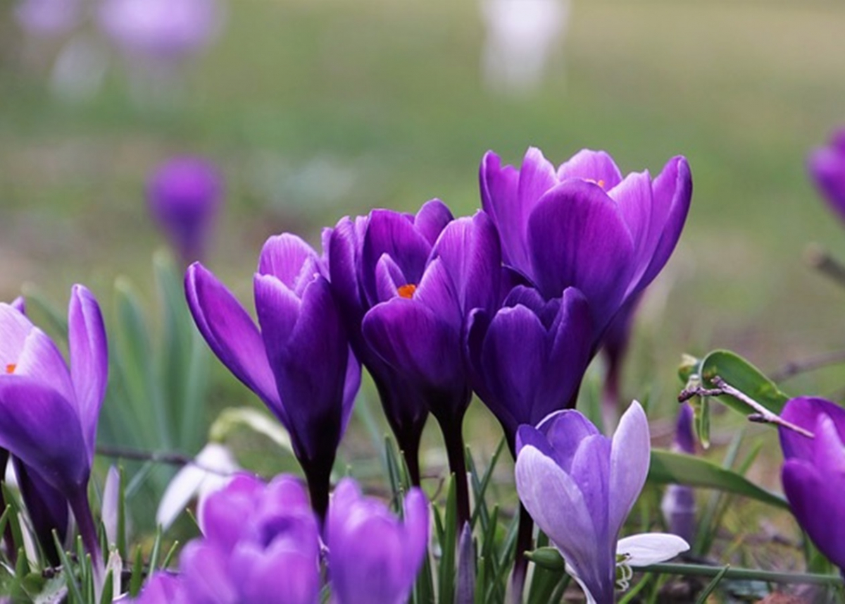 2597742.jpg 2597742.jpg
