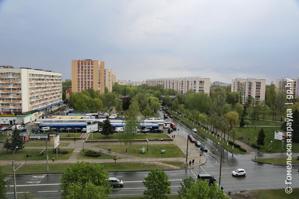 45541.JPG