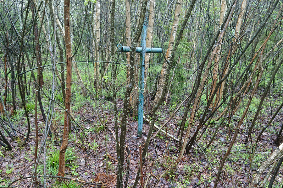 DSC_0004.JPG