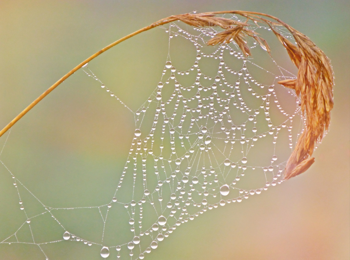 pexels-pixabay-276255.jpg pexels-pixabay-276255.jpg