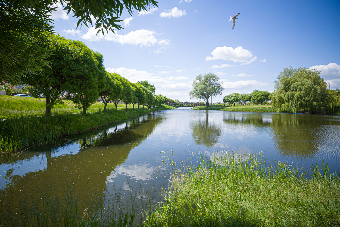 IMGL4029.jpg