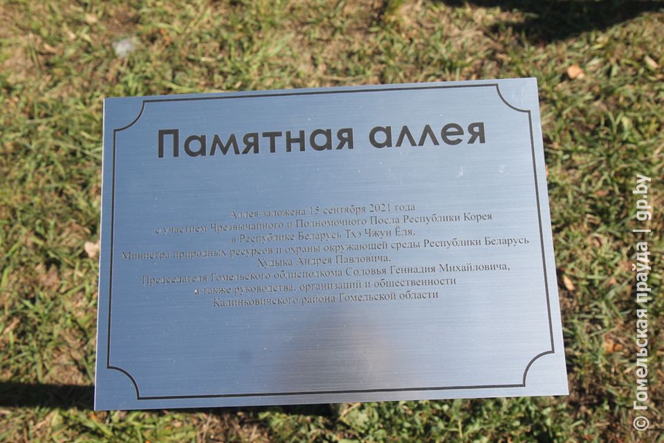 45354.jpg 45354.jpg