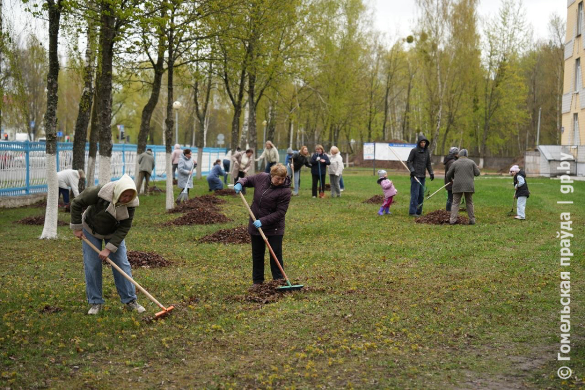 Республиканский субботник Гомельщина: 300 тысяч человек участвуют в благоустройстве территорий и сборе средств на музей
