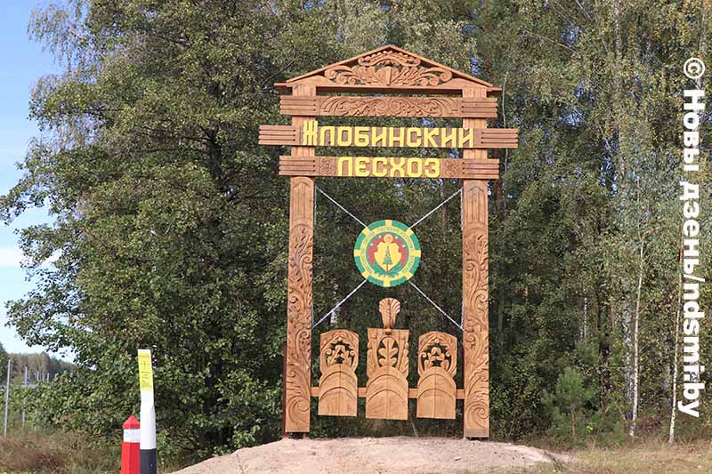 1135.jpg