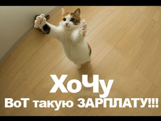 Зарплата.jpg