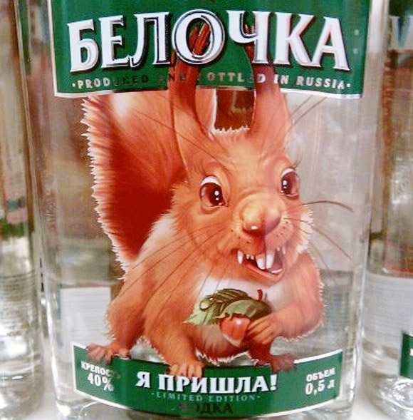 Пьяная белка.jpg