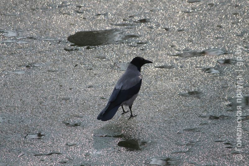IMG_3680.JPG