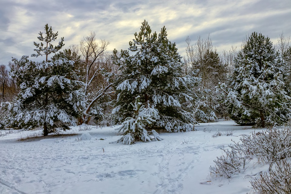 snow-4762546_960_720.jpg