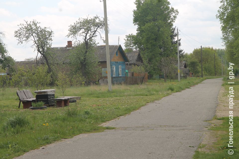 IMG_4602.JPG