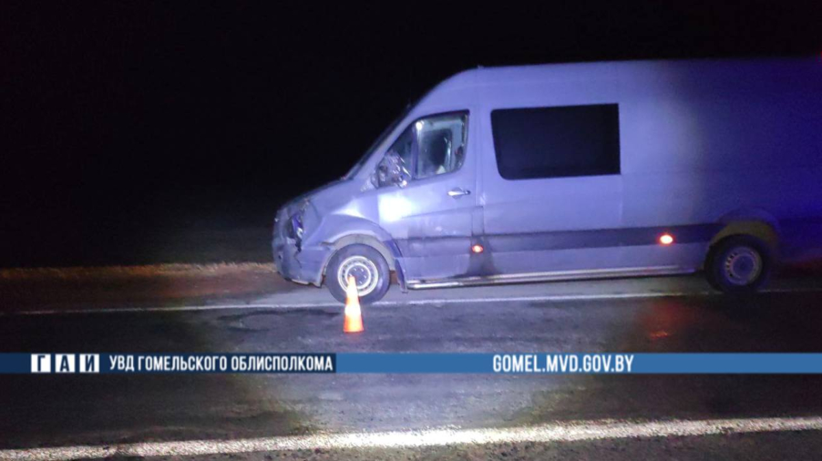 Место ДТП на трассе М-10 в Калинковичском районе где пешеход погиб под колесами автомобиля