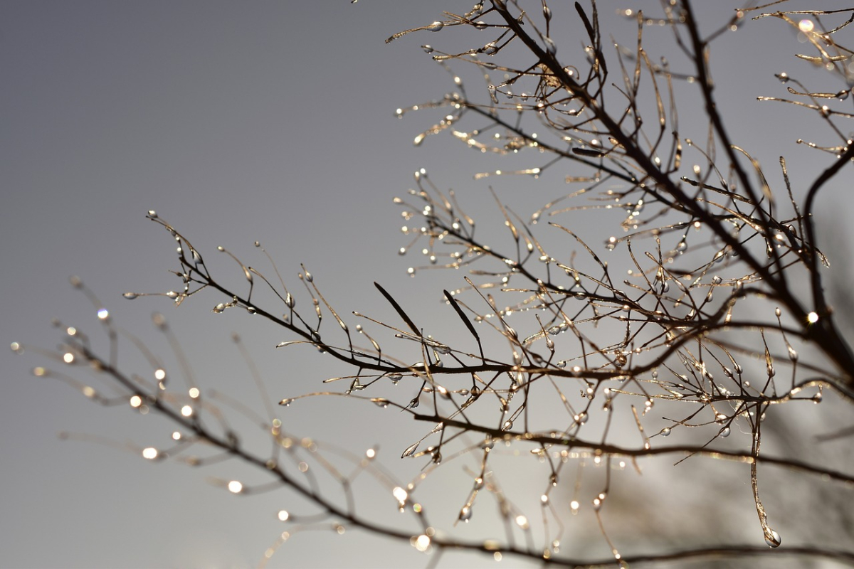 drop-of-water-4772726_1280.jpg