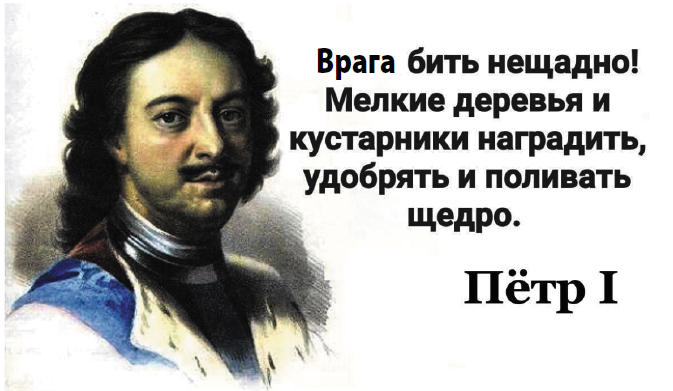 в1.jpg