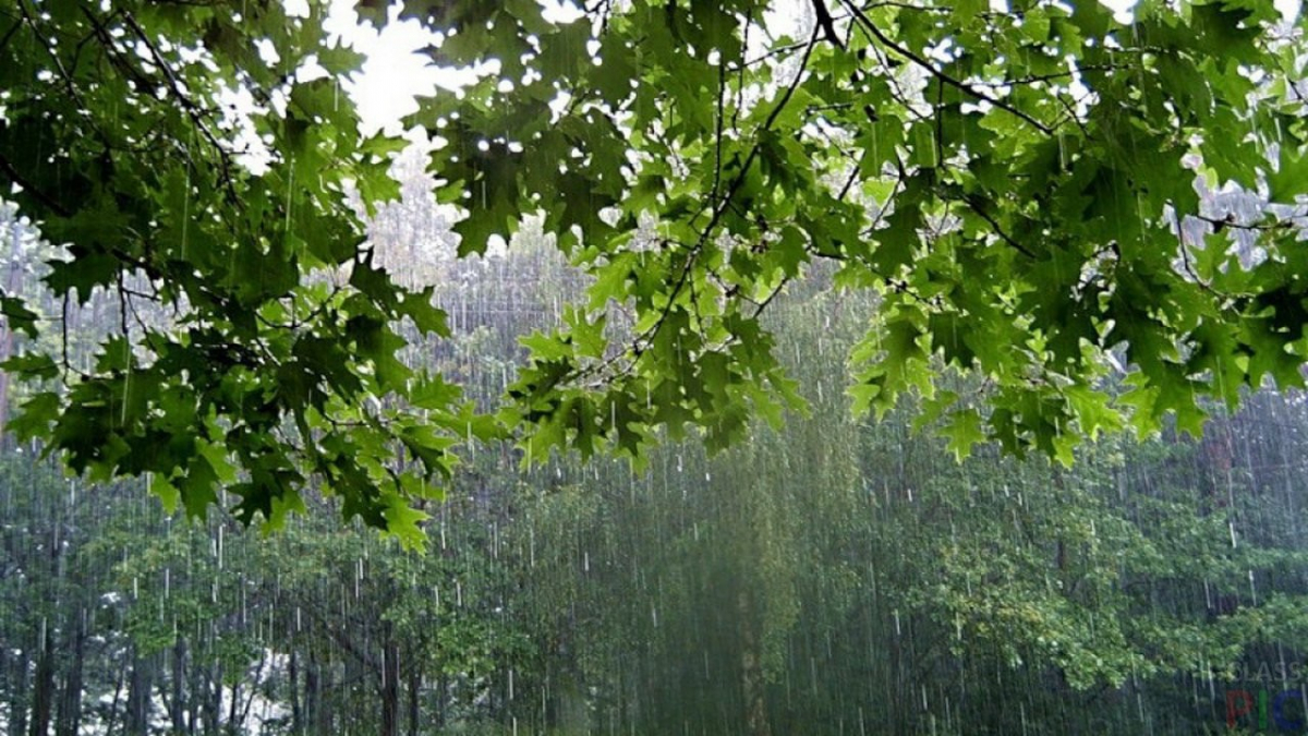 4_183.jpg