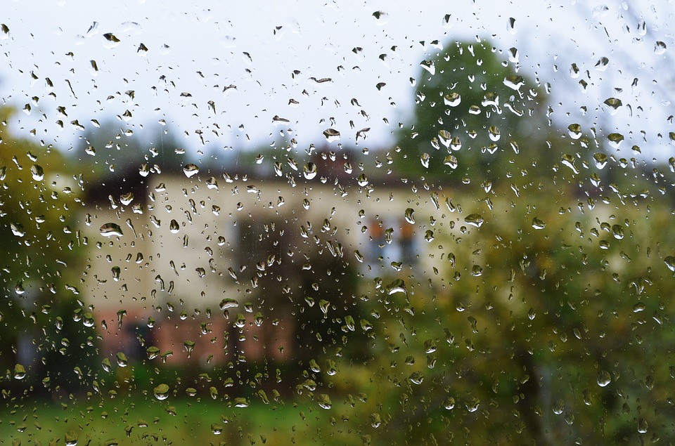rain-985874_960_720.jpg