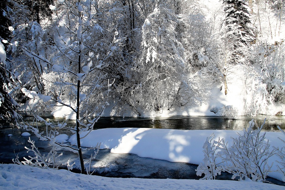 winter-2640622_960_720.jpg
