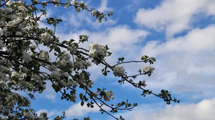 blue-sky-4161360_1280.jpg blue-sky-4161360_1280.jpg