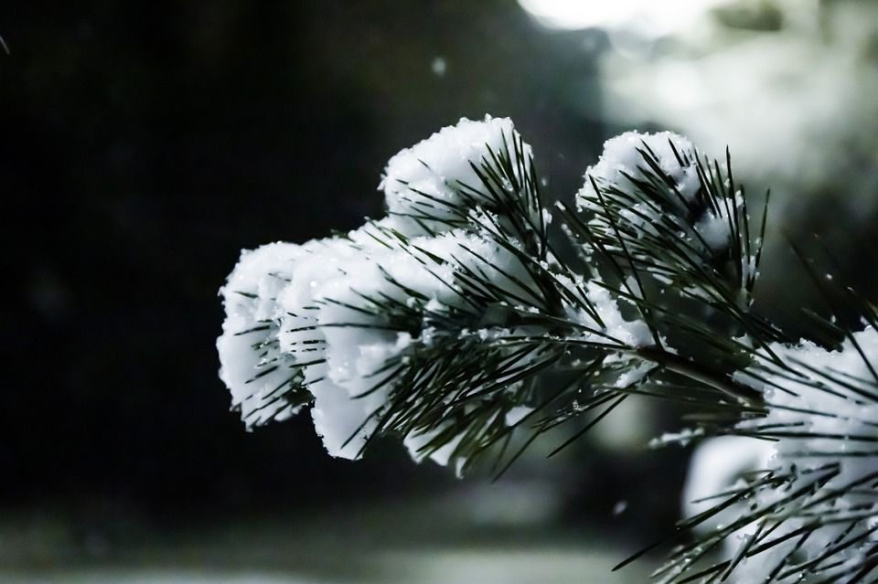 snow-4745380_960_720.jpg