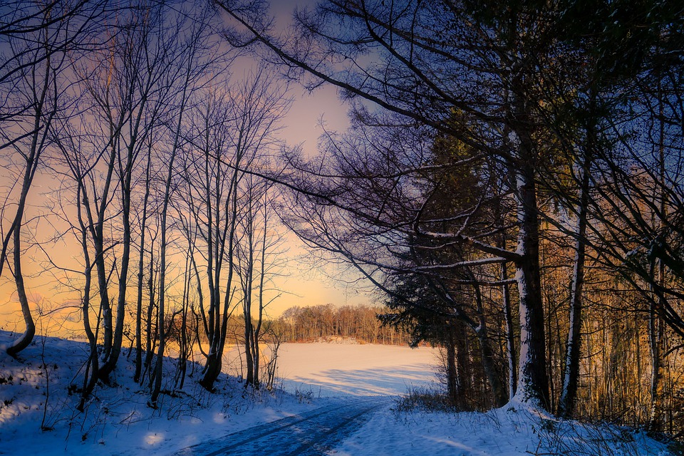 path-6843923_960_720.jpg